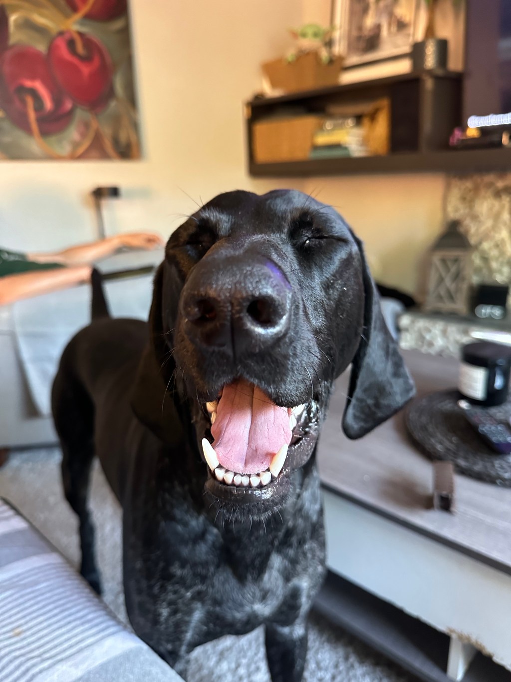 Surviving the Academic Hunger Games: The Day Before Spring Break